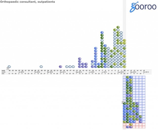 Real-life new outpatients waiting list for a consultant orthopod